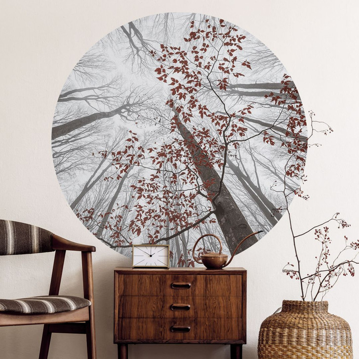 Wandtattoo Baumkronen mit roten Blättern - Rund - Coman - WA412658