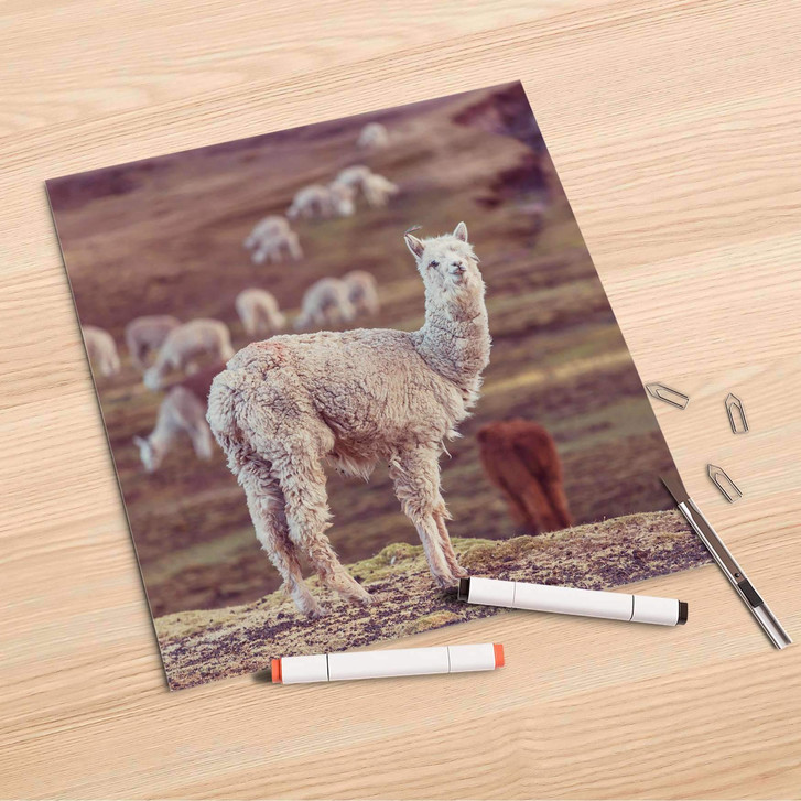 Folienbogen (30x30cm) - Pako - CR106899