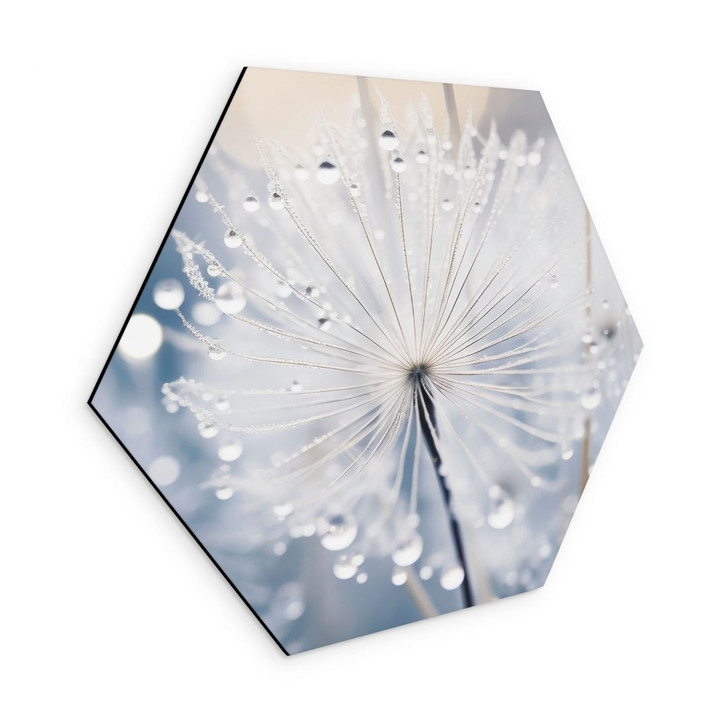Hexagon Wandbild Funkelnde Pusteblumen - Treechild - Alu-Dibond - WA492150
