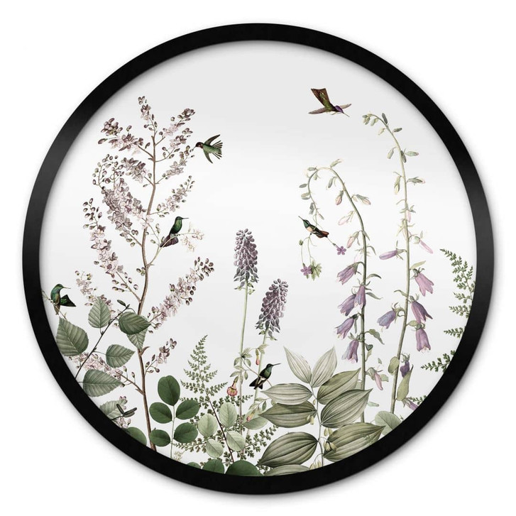 Poster Sir Edward - Kolibris im Garten - Rund - WA355886