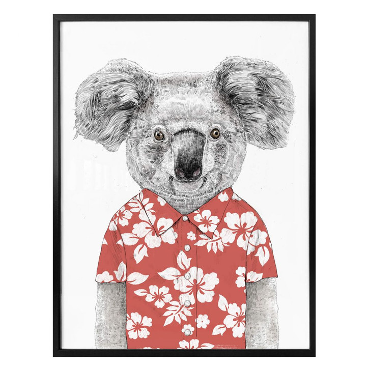 Poster Solti - Koala im Sommer - WA311894