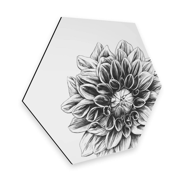 Hexagon - Alu-Dibond Kools - Dahlia - WA285113
