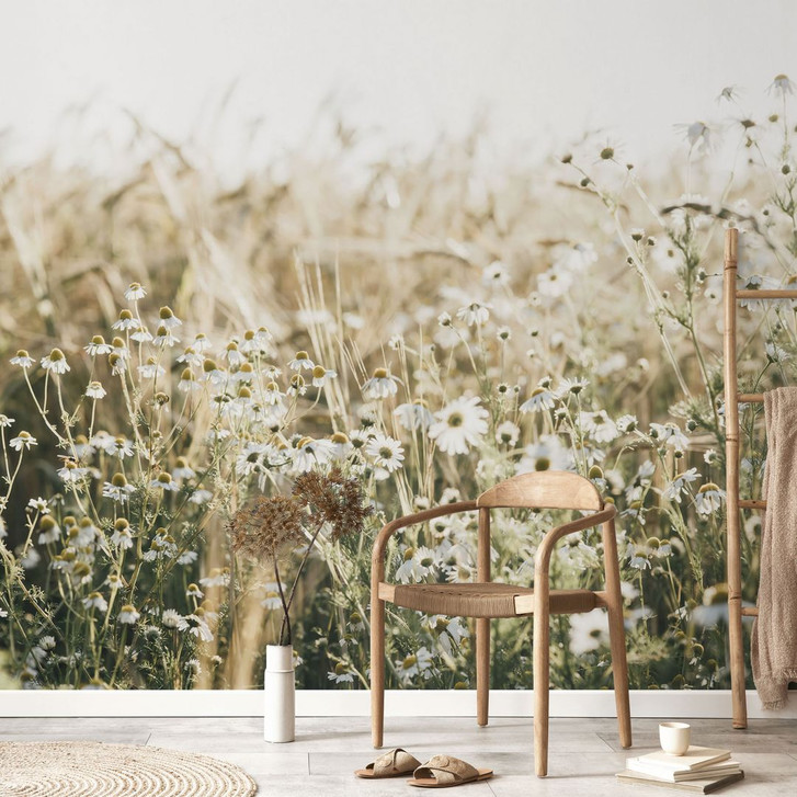 Natur Fototapete Sommerwiese mit Kamille - Annie - WA466685