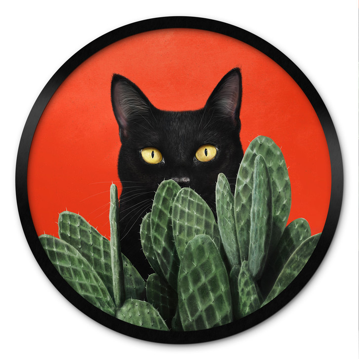Poster Schwarze Katze im Kaktus-Versteck - Korenkova - Rund - WA515525