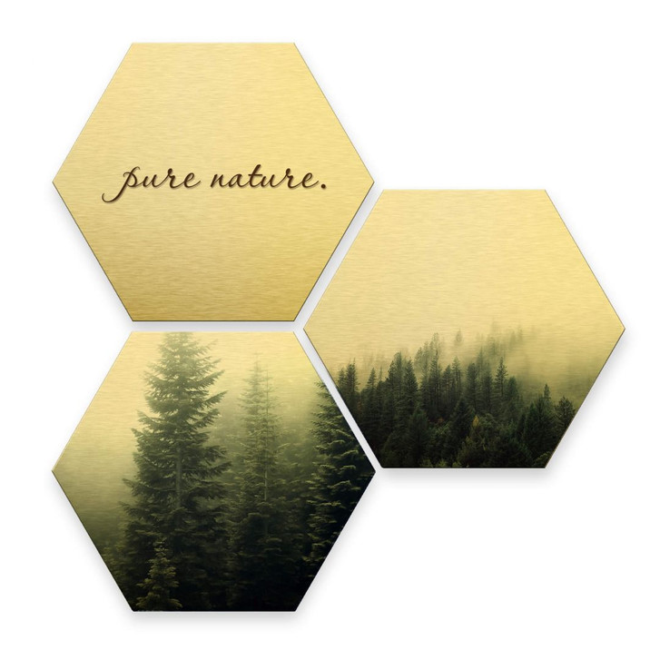 Hexagon - Alu-Dibond-Goldeffekt - Pure Nature Wald (3er Set) - WA233191