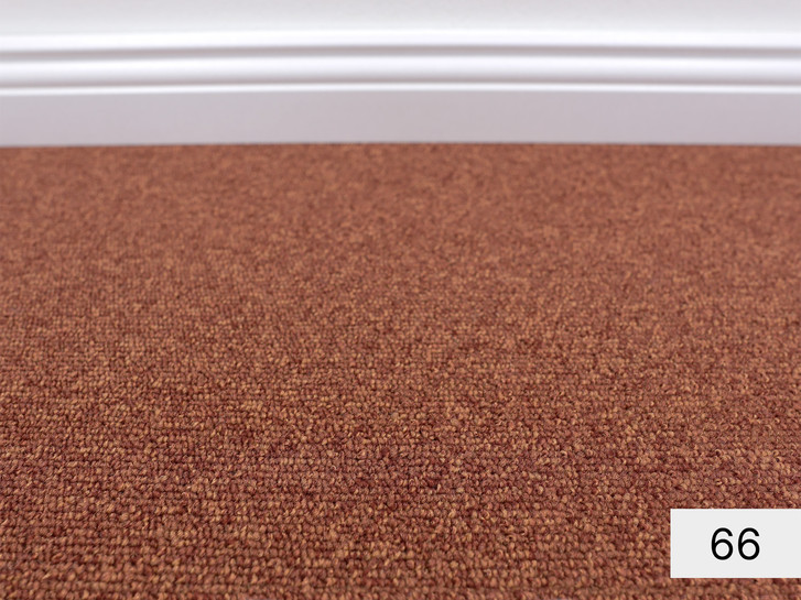 Master Schlingen Teppichboden Meterware in 66 - TS489668