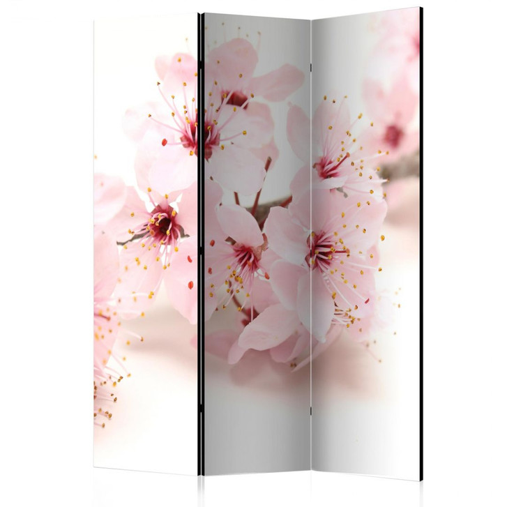 Paravent, Raumteiler freistehend, Trennwand - Kirschblüte, 3-teilig - 135 x 172 cm - WA454829