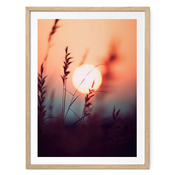 Poster Gräser im Licht der glühenden Sonne - Treechild - WA473603