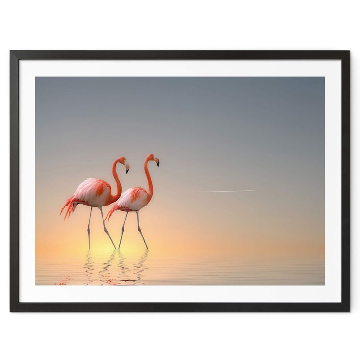 Poster Cseresnjes - Flamingos im Abendlicht - WA379034
