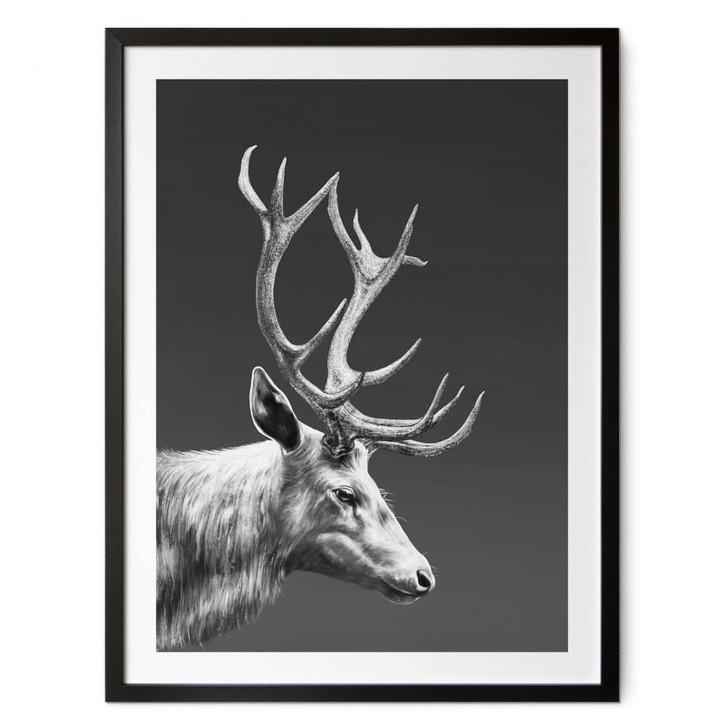 Poster Hirsch mit Geweih schwarz-weiss - Roberg - WA447984