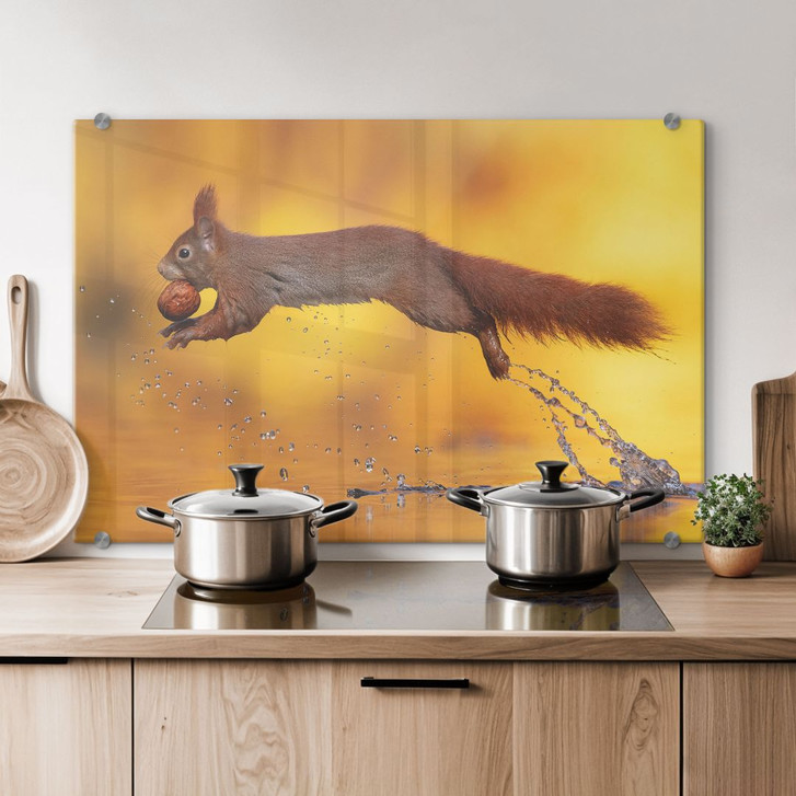 Spritzschutz van Duijn - Eichhörnchen im Sprung - WA287629