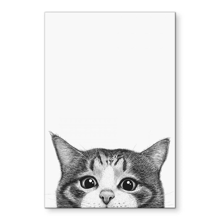 Wandbild Neugierige Katze - Korenkova - Alu-Dibond - WA434204