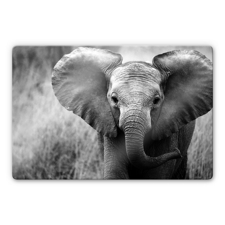 Glasbild Jumbo der kleine Elefant - WA123861