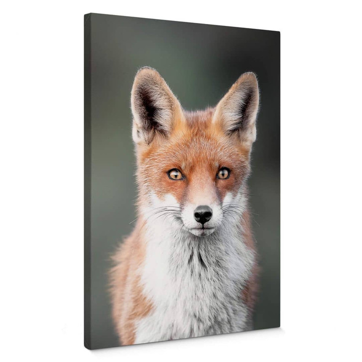 Leinwandbild van Duijn - Fuchsaugen - WA327666