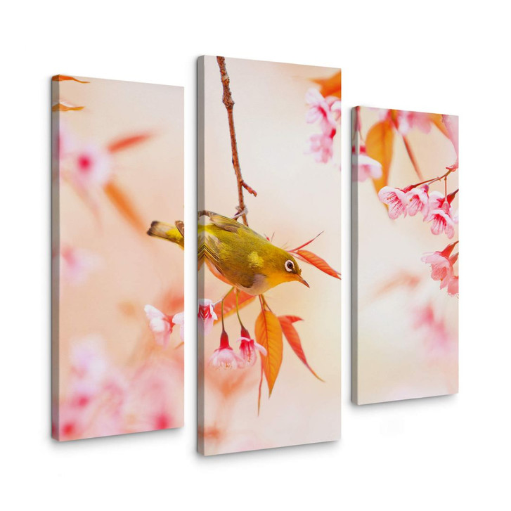 Leinwandbild Vogelgezwitscher in der Kirschblüte (3-teilig) - WA146518