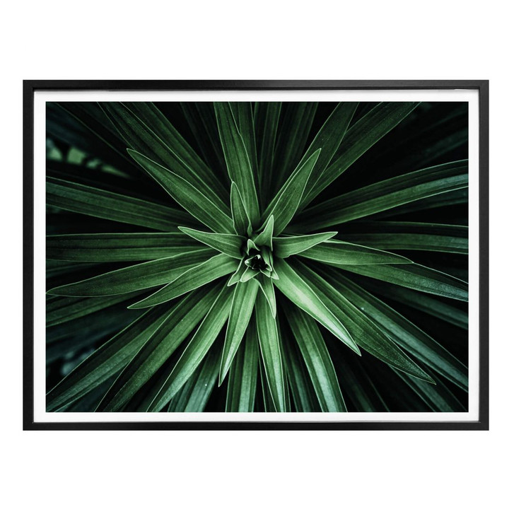 Poster Botanical - WA158236