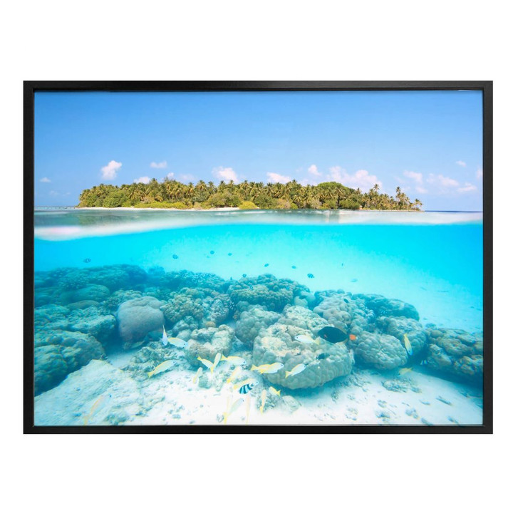 Poster Colombo - Unterwasserwelt der Malediven - WA279472