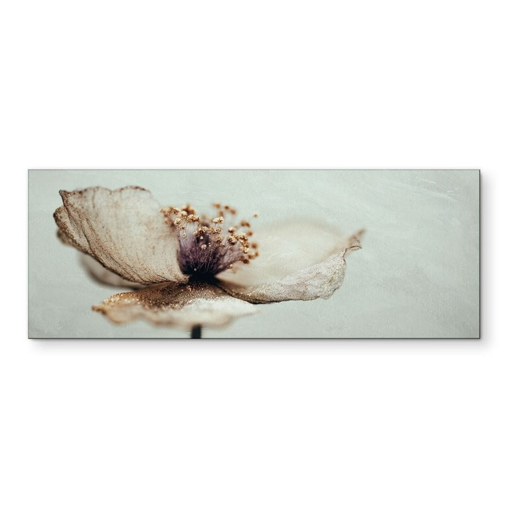 Wandbild Zarte Trockenblüte in Beige - Treechild - Alu-Dibond Panorama - WA492368