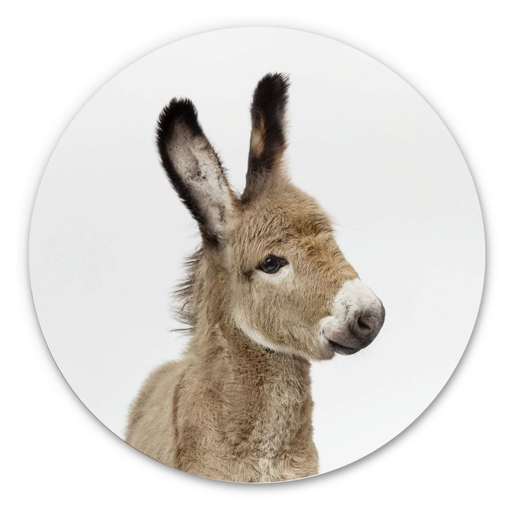 Alu-Dibond Sisi & Seb - Baby Esel - Rund - WA294531