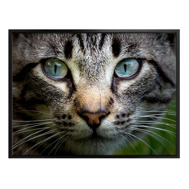 Poster Cuadrado - In your eyes - WA317873