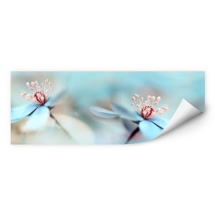 Wallprint Westum - Zarte Blüten - WA190561