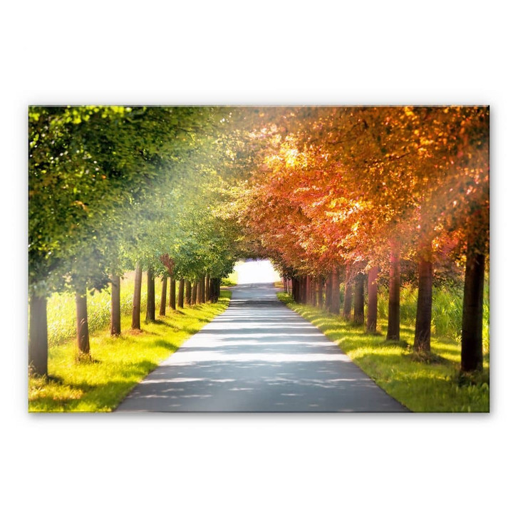 Acrylglasbild Herbst - WA481069