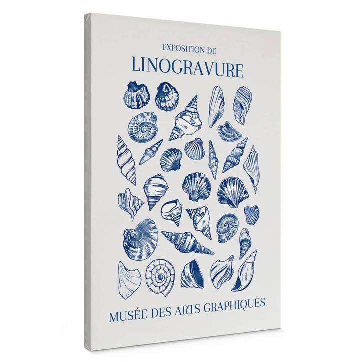 Canvas-Leinwandbild Grafische Muschel-Collage - Jolly and Dash - WA417236