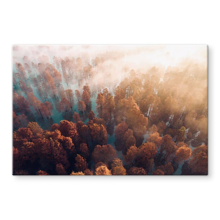 Glasbild Herbstwald im Nebel - Ioricon - WA399839