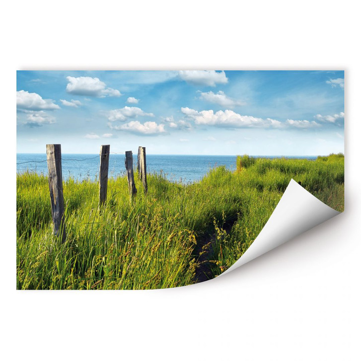 Wallprint Weg zum Meer - WA190361