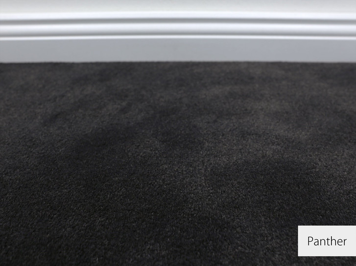 Emily Velours Teppichboden Meterware in Panther - TS479936