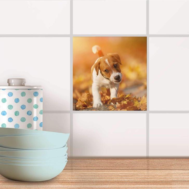 Fliesenaufkleber - Jack the Puppy - CR101020