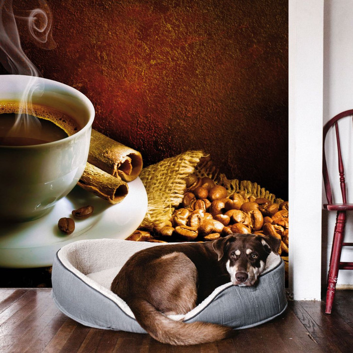 Fototapete Coffee 1 - 288x260cm - WA231438