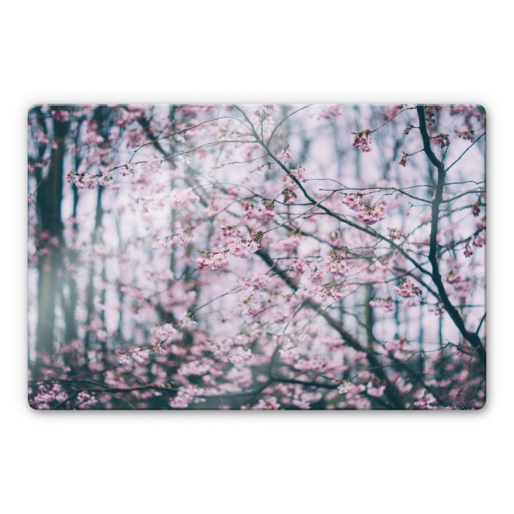 Glasbild Pink Flower Dream 03 - WA232391
