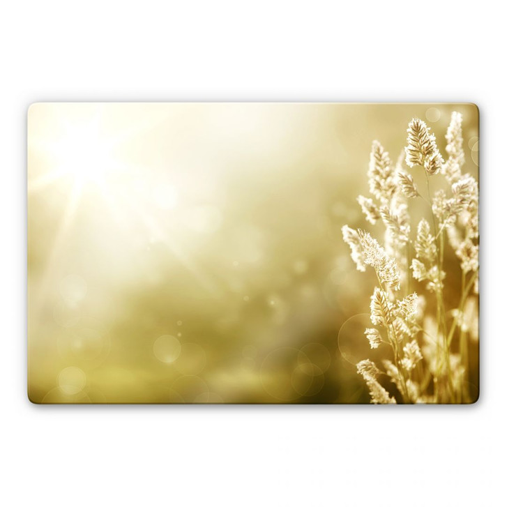 Glasbild Sonniges Kornfeld - WA127777