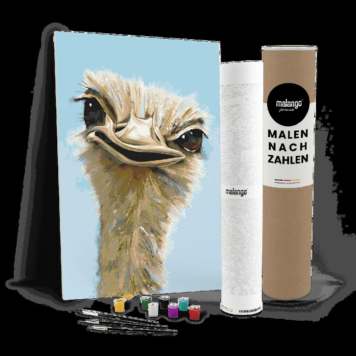 Malen nach Zahlen Leinwandbild - Straussenpaar Silvio - WA447584