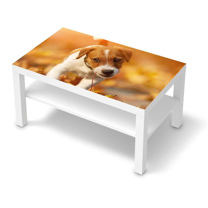 Möbelfolie IKEA Lack Tisch 90x55cm - Jack the Puppy - CR116007