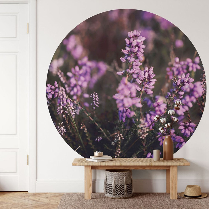 Natur Fototapete Lila Heideblüte im warmen Licht - Annie - Rund - Selbstklebend/Vlies - WA471229