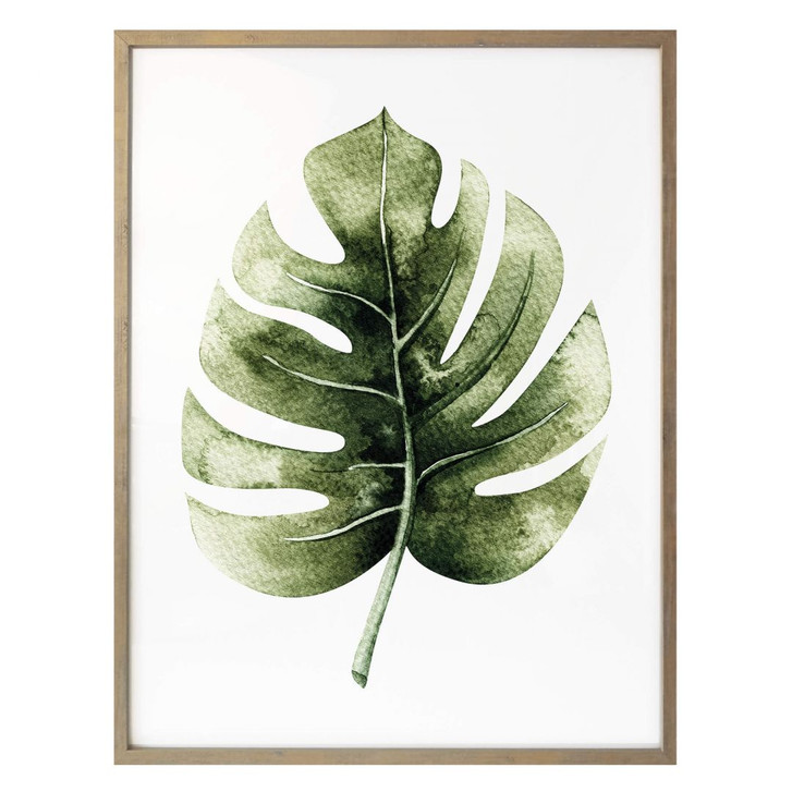 Poster Kvilis - Monstera Leaf - WA239216