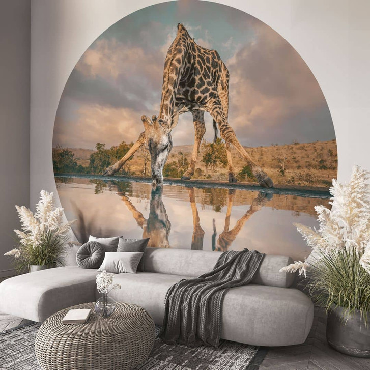 Fototapete Reflexion einer Giraffe in der Wildnis | Safari Tapete - Amtmann - Rund - Selbstklebend/Vlies - WA432158