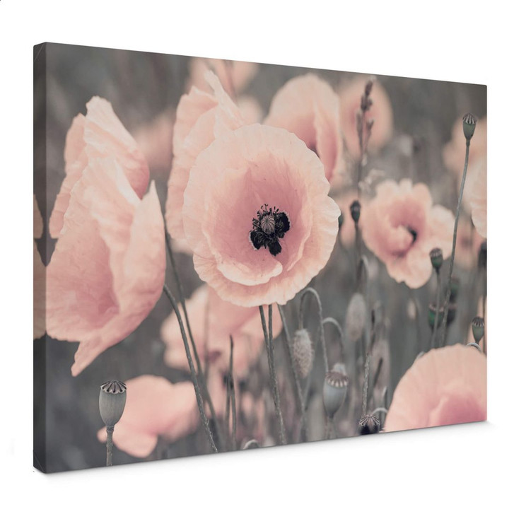 Leinwandbild Delgado – Rosa Mohnblume - WA361788