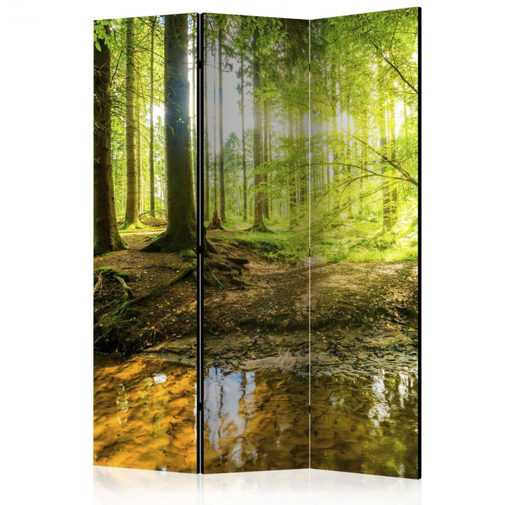 Paravent, Raumteiler freistehend, Trennwand - Waldsee - WA454493