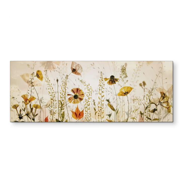 Wandbild Wilde Wiesenblumen im Sonnenlicht - Talen - Panorama - Alu-Dibond - WA431301