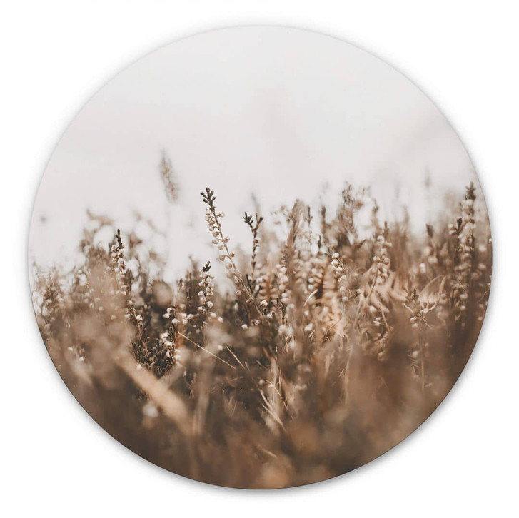 Alu-Dibond Annie - Wiesengräser - Rund - WA319722