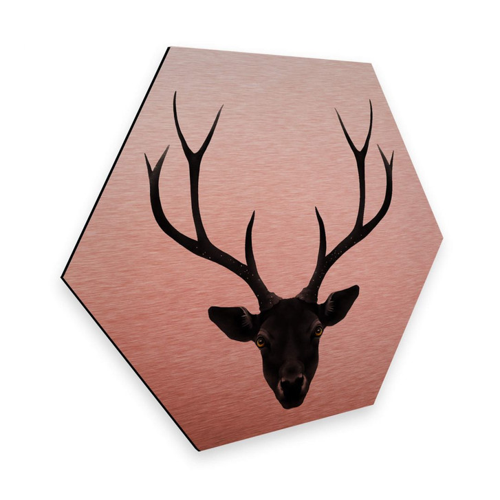 Hexagon - Alu-Dibond-Kupfereffekt - Ireland - The Black Deer - WA315679
