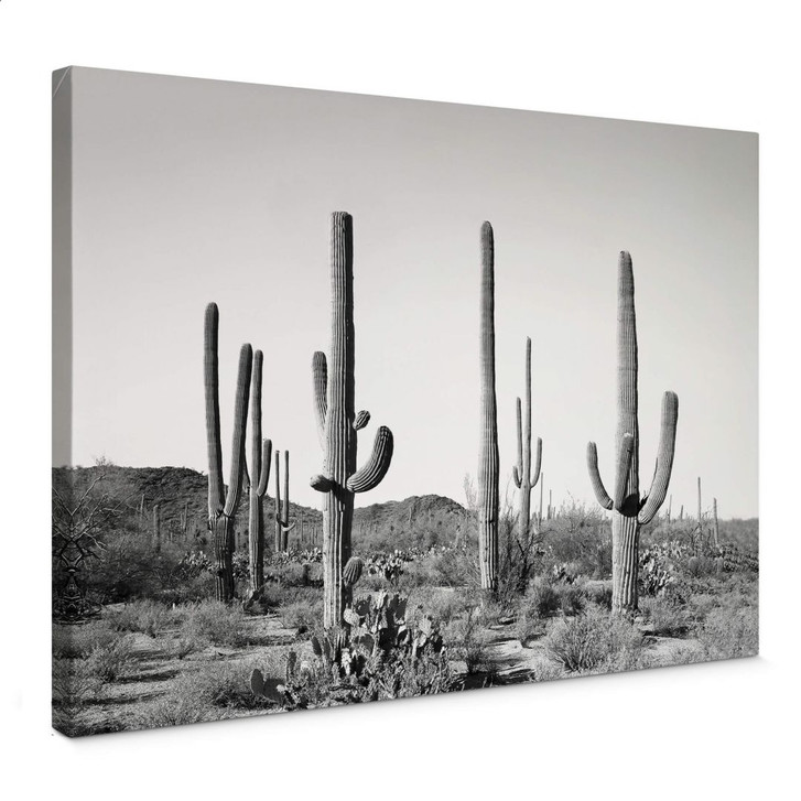 Leinwandbild Sisi & Seb - Kakteen in der Wüste - WA374929
