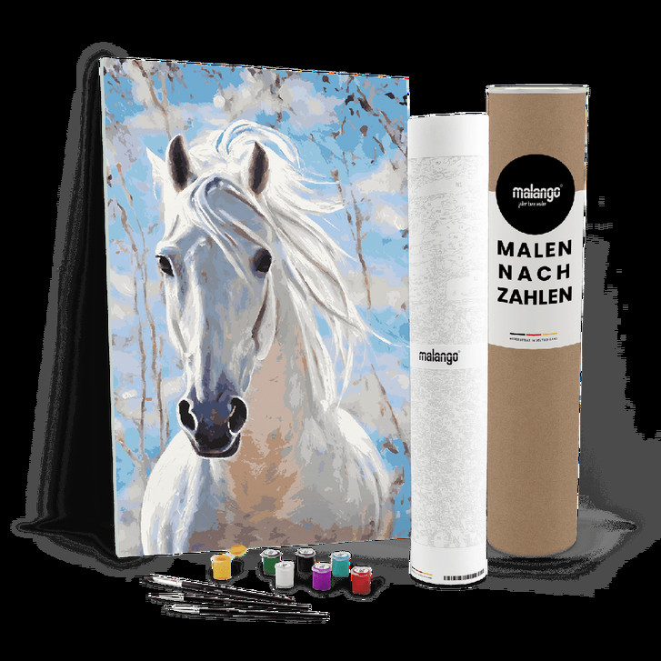 Malen nach Zahlen Leinwandbild - Pferd Piedro Himmel - WA447060