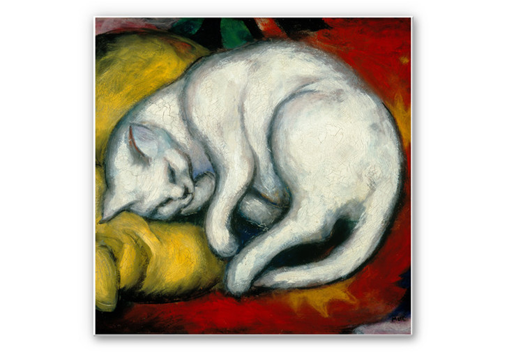 Wandbild Marc - Die weiße Katze - quadratisch - WA194326