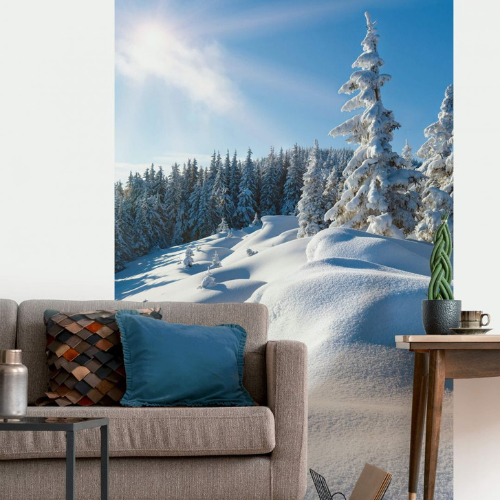 Fototapete Snowdrifts on Winter Snow - 144x260cm - WA227563