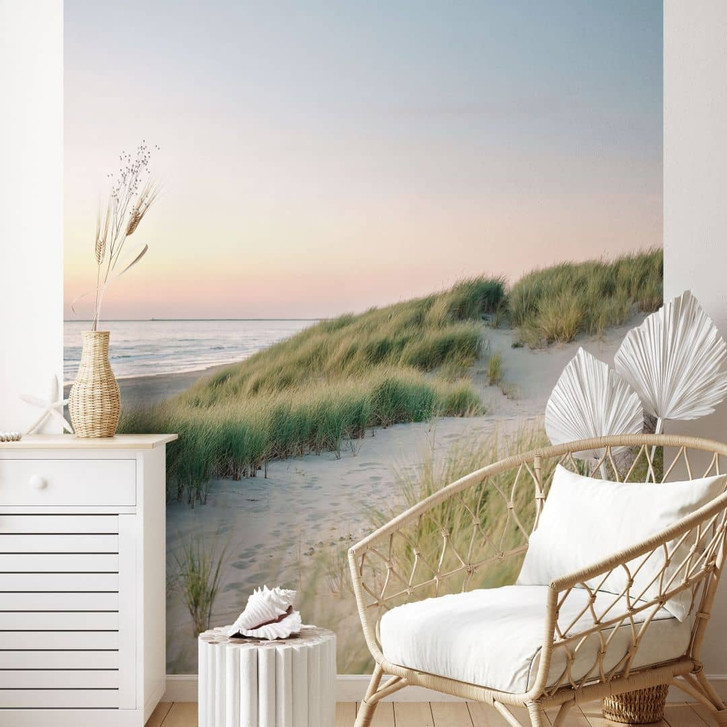 Fototapete Strand und Meer - Dünen an der holländischen Küste - Zwart - WA423844