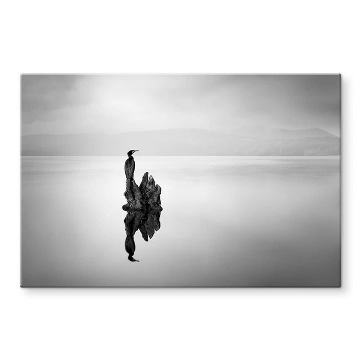 Glasbild Digalakis - Eleganter Wasservogel - WA345904